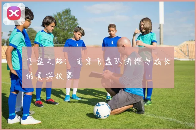 飞盘之路：南京飞盘队拼搏与成长的真实故事