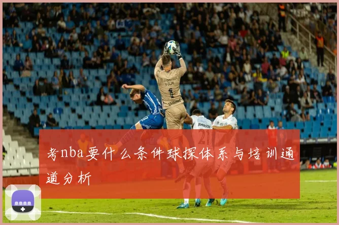 考nba要什么条件球探体系与培训通道分析